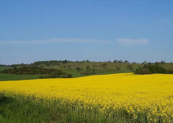 Fuglso Bed & Breakfast *